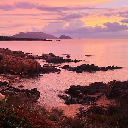 Ventus Auster * Olbia